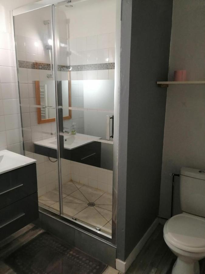 Appartement Spacieux T3 Lumineux Dans Quartier Historique Avec Wifi *