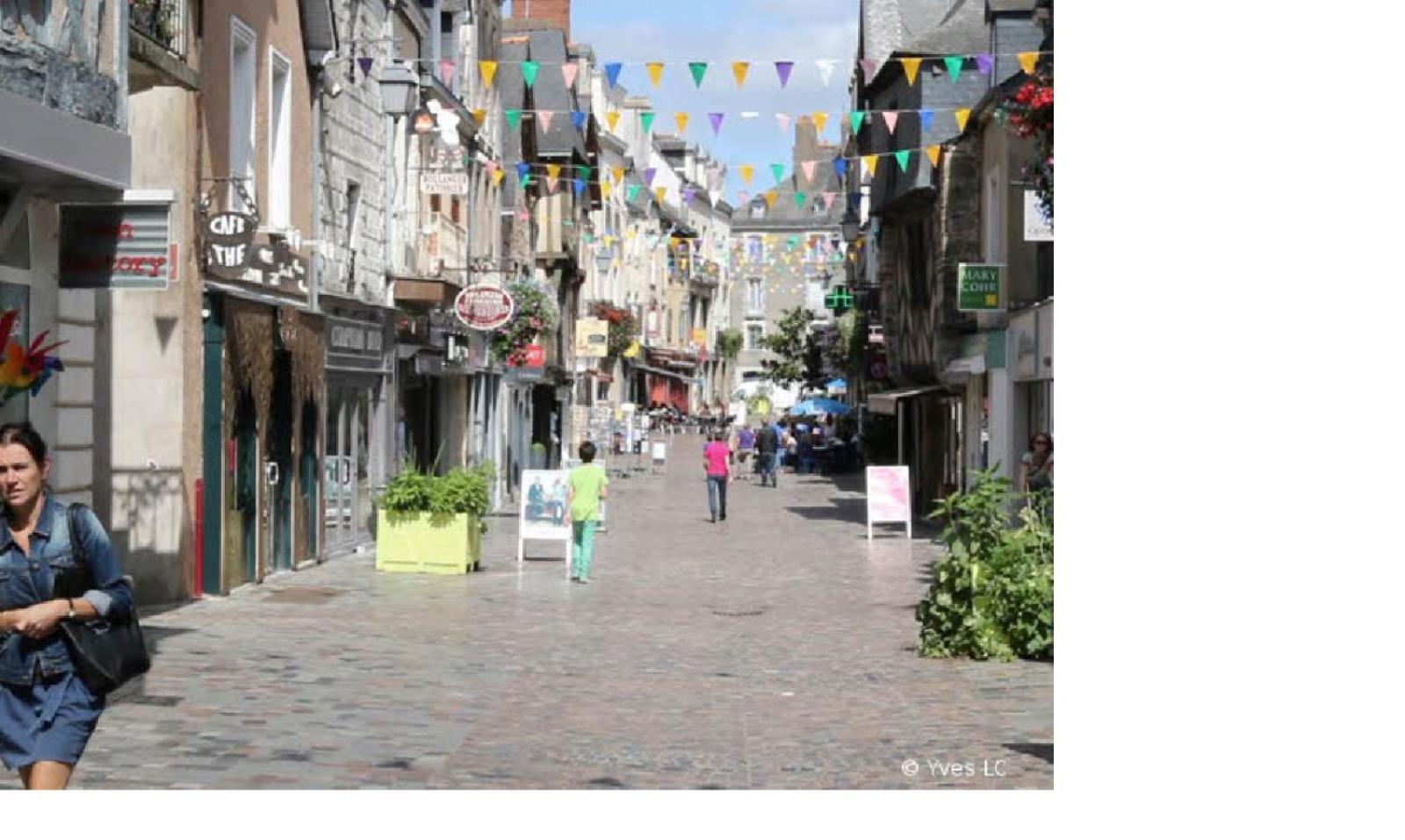 Spacieux T3 Lumineux Dans Quartier Historique Avec Wifi *