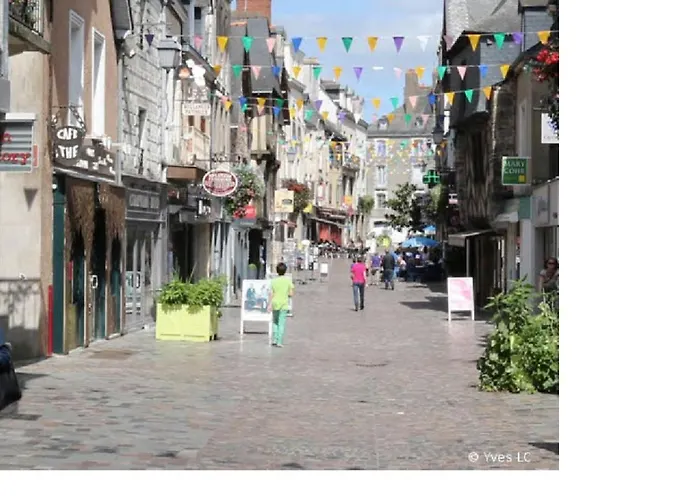 Spacieux T3 lumineux dans quartier historique avec wifi